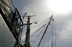 ����-������, ������������ �������