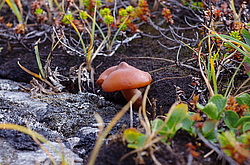 �����. ������� ��������� ��������� ����