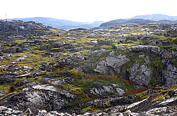 ���������� ��������, ��������� ����