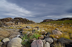 ���������� ��������, ��������� ����