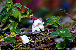 �����. ������� ��������� ��������� ����