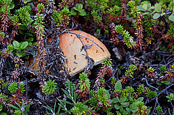 �����. ������� ��������� ��������� ����