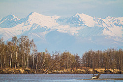 ���������� ����, ��������