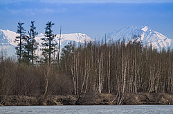 ���������� ����, ��������