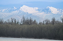 ���������� ����, ��������