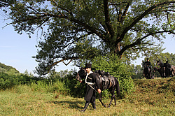 ����� � ������������ ��������