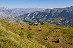 ������������ ��������