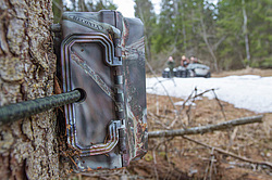 �����������. ����������-������ ����������, �������� �������, ������