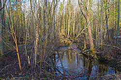 �������� �������. ����������-������ ����������, �������� �������, ������