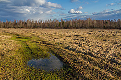 �������� �������. ����������-������ ����������, �������� �������, ������