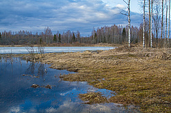 �������� �������. ����������-������ ����������, �������� �������, ������