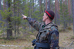 ����������. ����������-������ ����������, �������� �������, ������