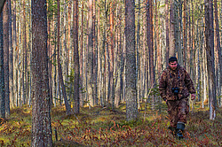 ����������. ����������-������ ����������, �������� �������, ������