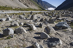 ������ ���� ����� ������������. ���������-���������� ����������, ���������-��������, ������