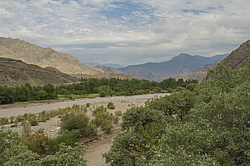 ����������� ���� ����� (����-�������), ���������� �����, �����, �������