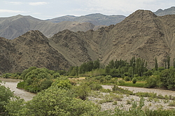 ����������� ���� ����� (����-�������), ���������� �����, �����, �������