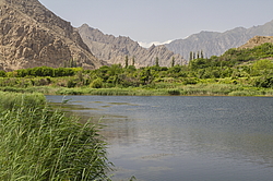 ����� � ������ �����, �����, �������