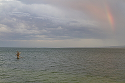 ����� �����, �������