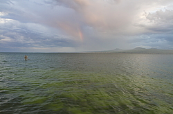 ����� �����, �������