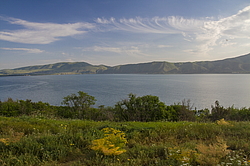 ����� �����, �������