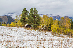 ������� ����� � ������� �����, ������ ������, �����. ������ � ��������, ���������� ����������, ������