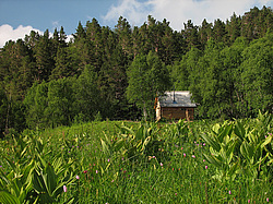 ����� �� ������ ���� �����, ����. ���������� ����������, ������