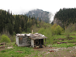 ������� � ������� �����, ���������� ��������, �����. ���������� ����������, ������