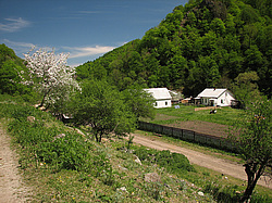 ������ ���������� �� ������ ���� ����� ����, �����. ���������� ����������, ������