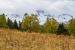 ��� � ������������� �������� � ���������� ���������, ���� �����, �����, ��������, ������� (����), ������ ����� (������) ������ ������. ���������� ����������, ������