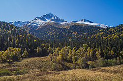 ��� � ��������� �����, ���� �����, �����, ��������, ������� (����), ������ ����� (������) ������ ������. ���������� ����������, ������