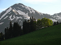 ��� � ������������� �������� � ���������� ���������, ���� �����, �����, ��������, ������� (����), ������ ����� (������) ������ ������. ���������� ����������, ������