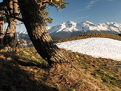 ��� � �������� ������, ���� �����, �����, ��������, ������� (����), ������ ����� (������) ������ ������. ���������� ����������, ������