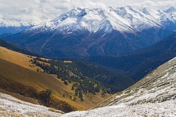 ��� � ��������� ��������, ���� �����, �����, ��������, ������� (����), ������ ����� (������) ������ ������. ���������� ����������, ������