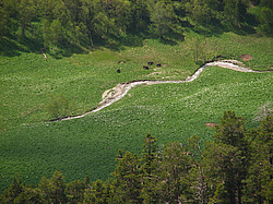 �������� (��������), ������� ���� ����� ����. ���������� ����������, ������