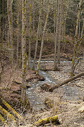 �������, ������� ���� ����� ����. ���������� ����������, ������