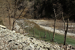 ����� ����, ������� ���� ����� ����. ���������� ����������, ������