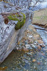 �������� (��������), ������� ���� ����� ����. ���������� ����������, ������