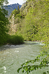 ����� ����, ������� ���� ����� ����. ���������� ����������, ������