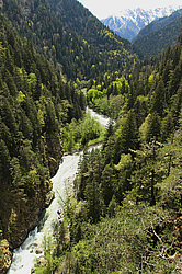 ����� ����, ������� ���� ����� ����. ���������� ����������, ������