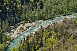 ����� ����, ������� ���� ����� ����. ���������� ����������, ������