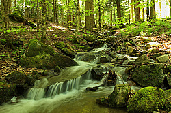 ���������� �����, ������� ���� ����� ����. ���������� ����������, ������