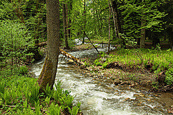 �������, ������� ���� ����� ����. ���������� ����������, ������