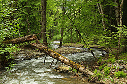 �������, ������� ���� ����� ����. ���������� ����������, ������