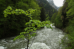 ����� ����, ������� ���� ����� ����. ���������� ����������, ������