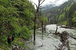 ����� ����, ������� ���� ����� ����. ���������� ����������, ������