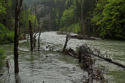 ����� ����, ������� ���� ����� ����. ���������� ����������, ������