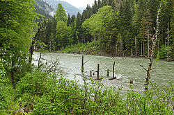 ����� ����, ������� ���� ����� ����. ���������� ����������, ������