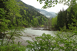 ����� ����, ������� ���� ����� ����. ���������� ����������, ������