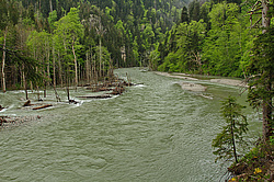 ����� ����, ������� ���� ����� ����. ���������� ����������, ������