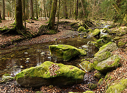 ����� ����, ������� ���� ����� ����. ���������� ����������, ������